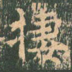 栖