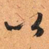 以