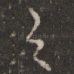 之