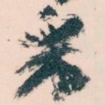采