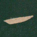 一