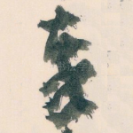 秦