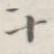 十
