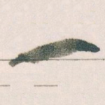 一
