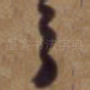 之