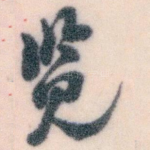 览