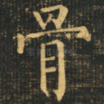 骨