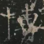 博