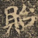 贻