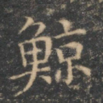 鲸