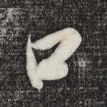 口