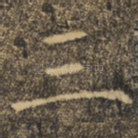 三
