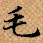毛