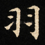 羽