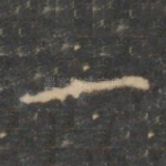 一
