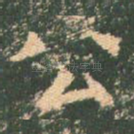 公