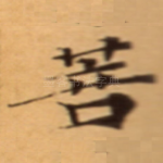 菩