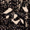 公