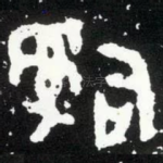 司