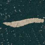 一