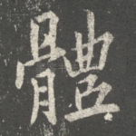 体
