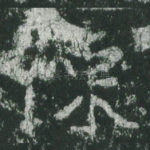 陈