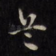兵