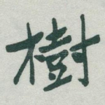 樹