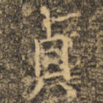 贞