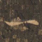 一