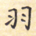 羽