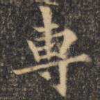 专