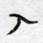 入