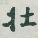 壮