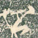 公