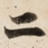 二