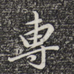 专