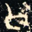 公