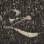 之