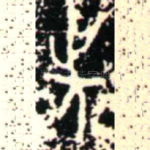先
