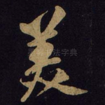 美