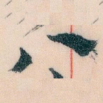 八