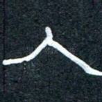 人