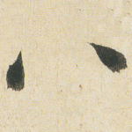 八