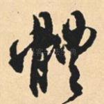 体