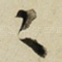 之