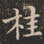 桂