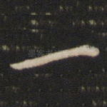 一