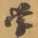 学