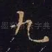 九